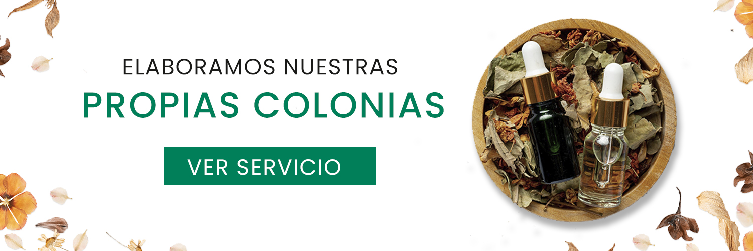 SLIDE ELABORACION DE COLONIAS